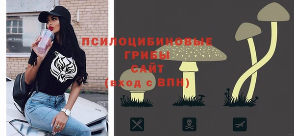 СК Абдулино