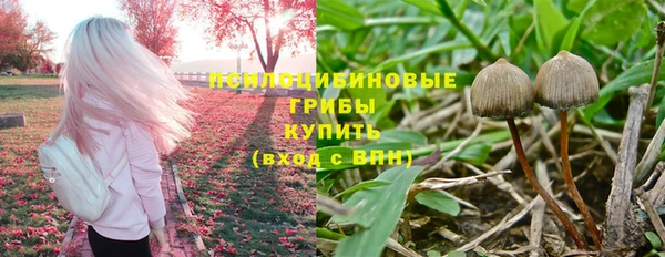 СК Абдулино
