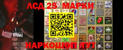 индика Шахты