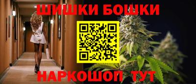 индика Шахты