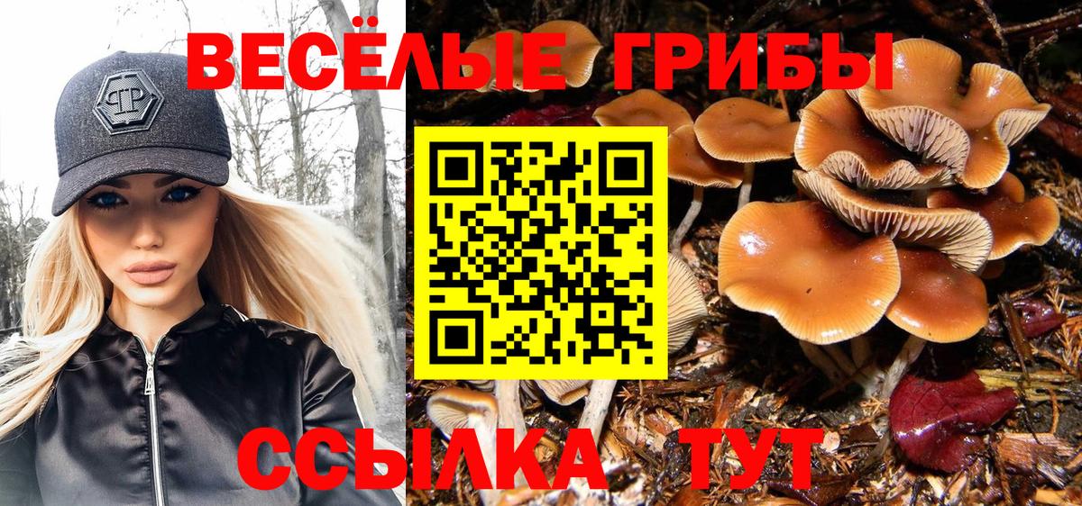 Псилоцибиновые грибы мицелий  Галлюциногенные грибы Cubensis  купить закладку  Вход с VPN  Орск 